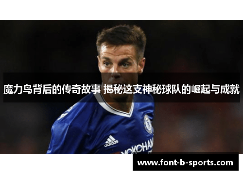 魔力鸟背后的传奇故事 揭秘这支神秘球队的崛起与成就